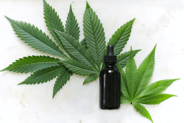 The Role Of CBD In Skincare: Everything You Need To Know